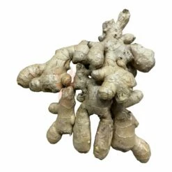 Ingwer, Frisch Aus China 1kg