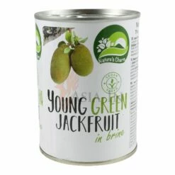 Nature's Charm Jackfrucht Grün, Jung 300g -ASIA-IN Geschäft natures charm jackfrucht gruen jung 300g